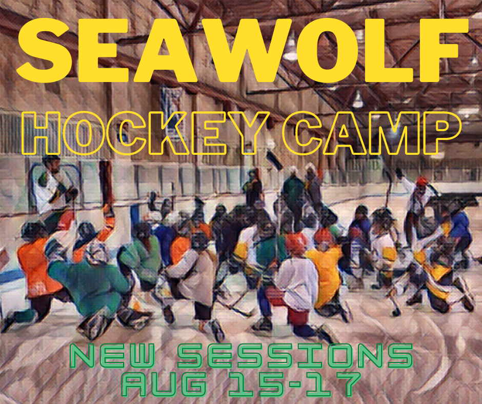 Seawolf Hockey Camp The Seawolf 5th Line
