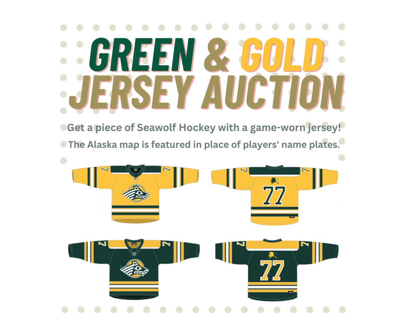 Game-Worn Jersey Auction